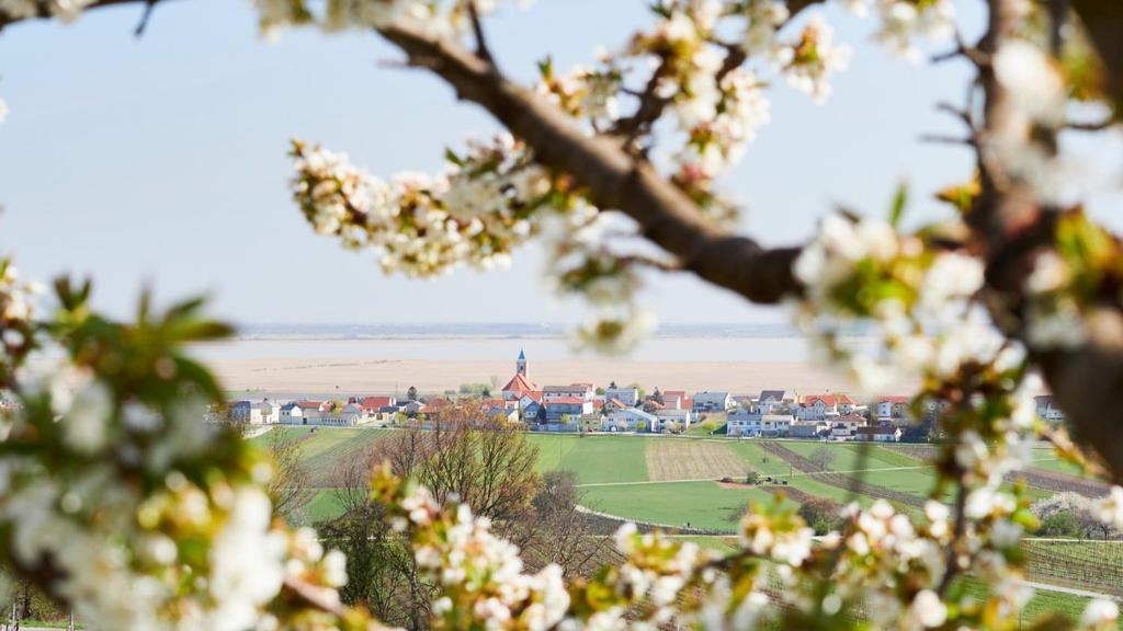 Villa Seehnsucht Jois Zewnętrze zdjęcie