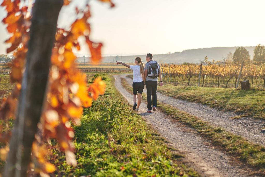 Villa Seehnsucht Jois Zewnętrze zdjęcie